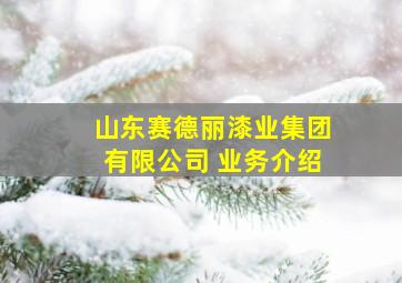 山东赛德丽漆业集团有限公司 业务介绍